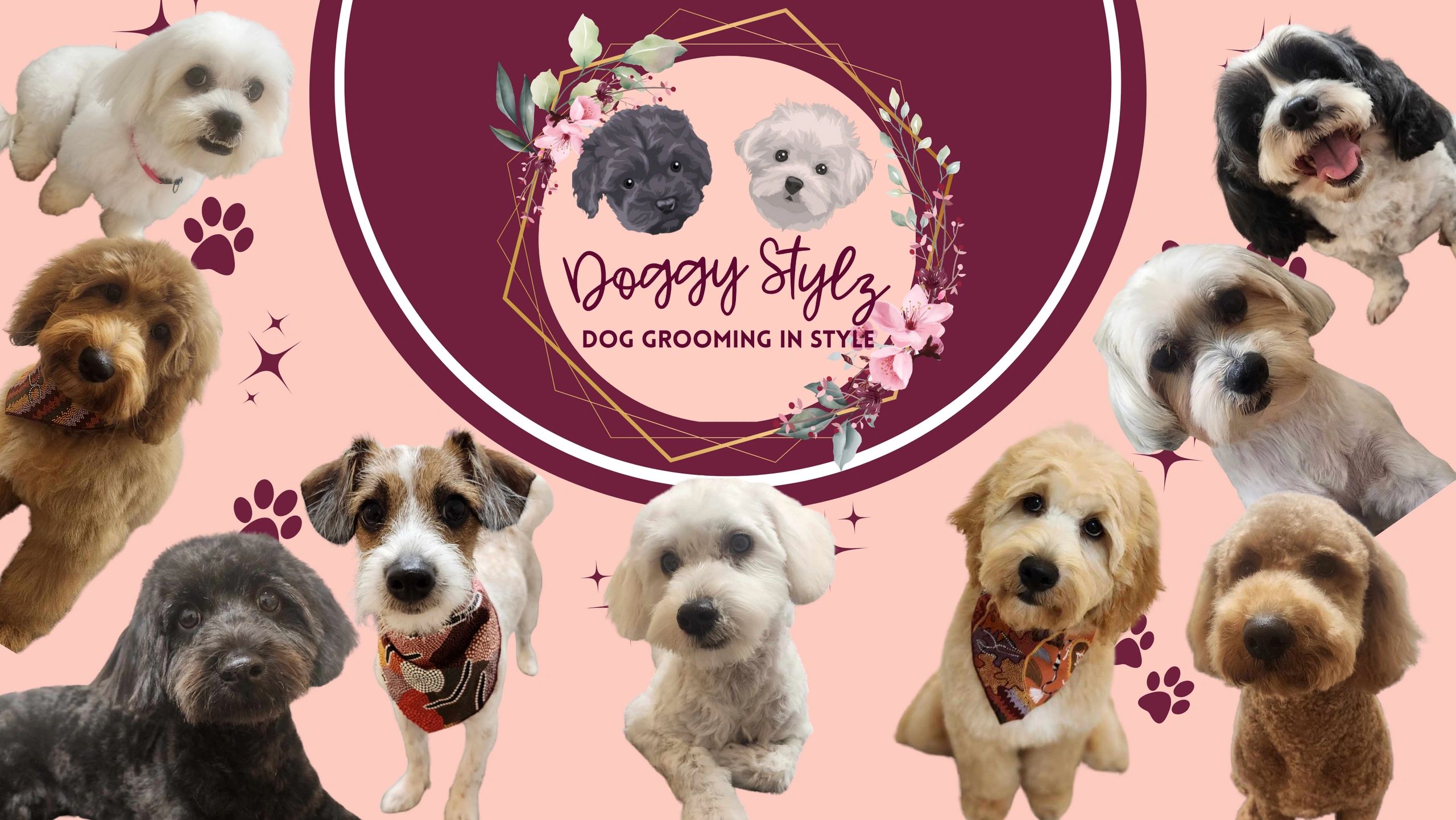 Dog Grooming Doggy Stylz Cairns